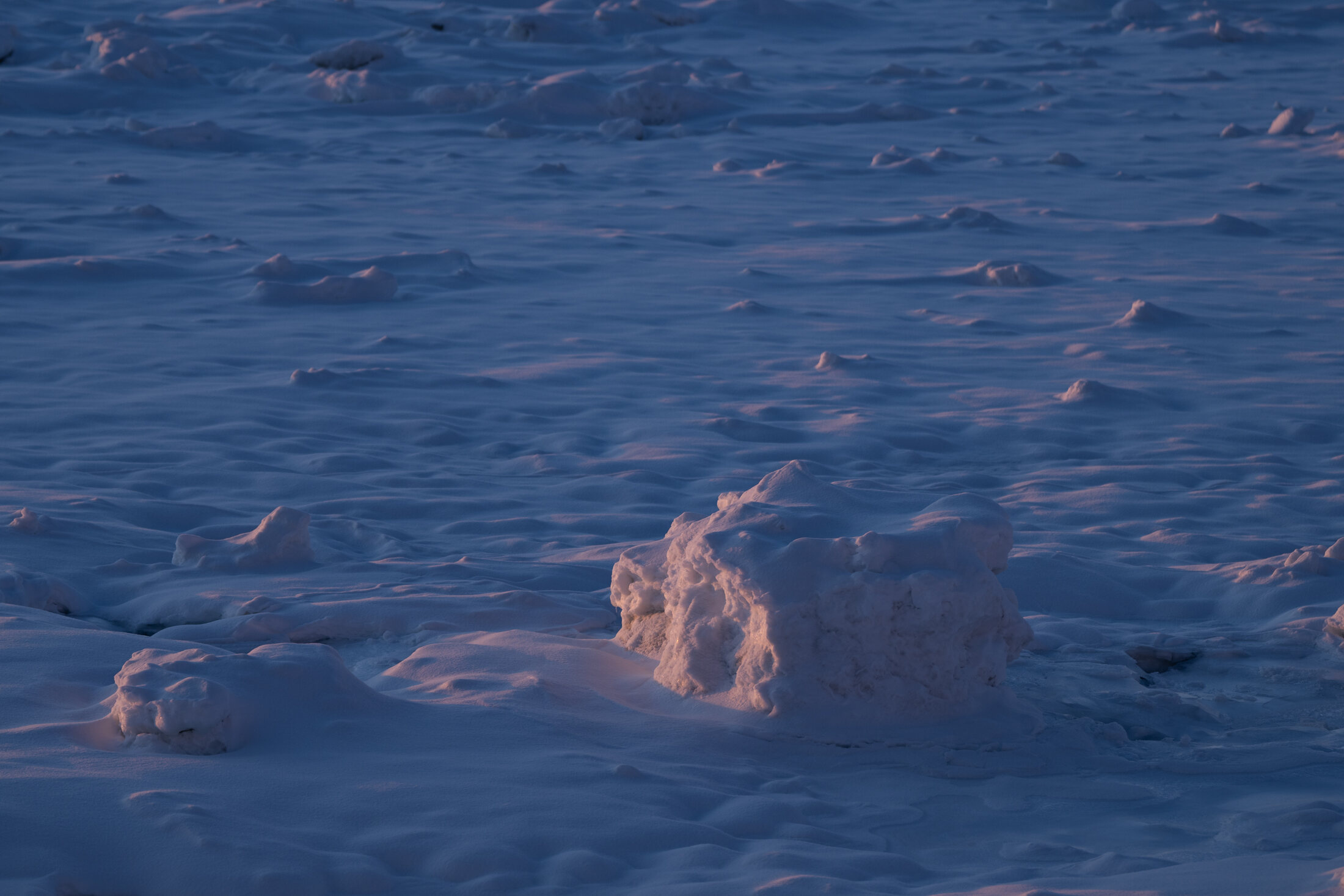 夕暮れの流氷3